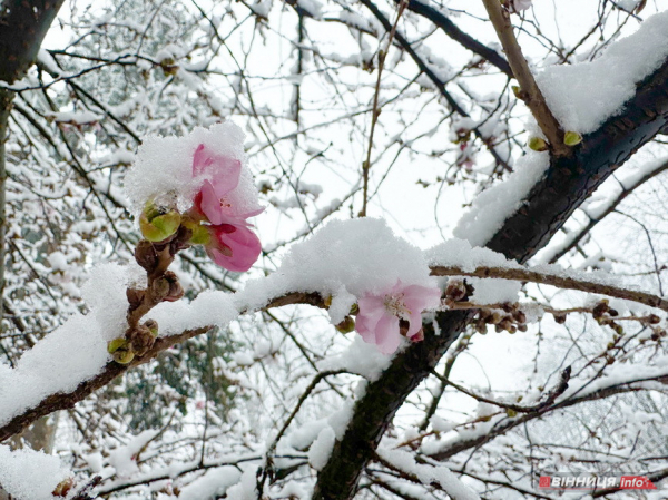 Весна у Вінниці: фото засніженого міста