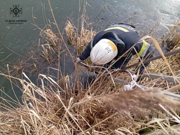 У водоймі на Вінниччині знайшли тіло чоловіка