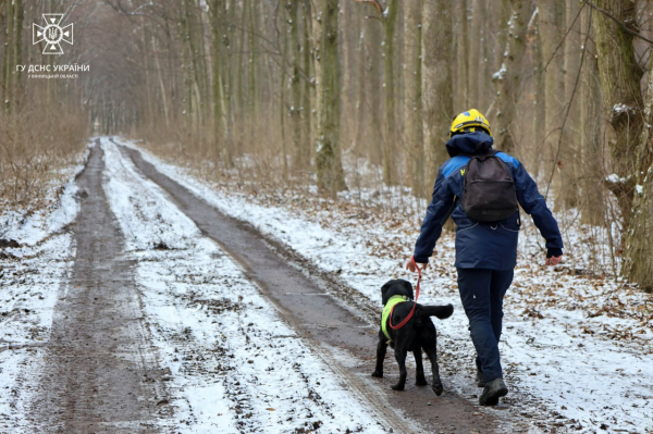 У Вінниці рятувальники з собаками та квадрокоптерами шукали людей у лісі