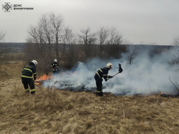 На Вінниччині за добу рятувальники гасили 34 пожежі в екосистемах