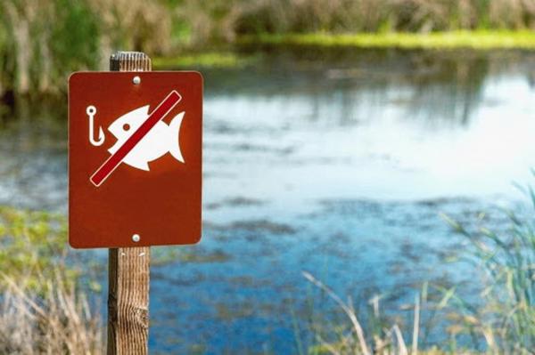 У Вінницькій області незабаром почне діяти заборона на вилов риби