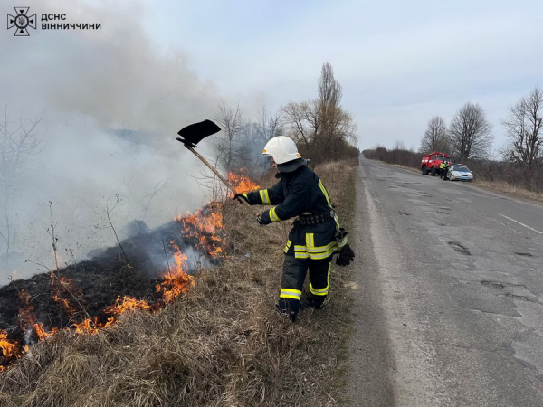 На Вінниччині за добу рятувальники гасили 34 пожежі в екосистемах