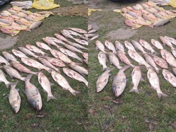 На Вінниччині двоє чоловіків браконьєрським способом наловили риби майже на 294 тис грн