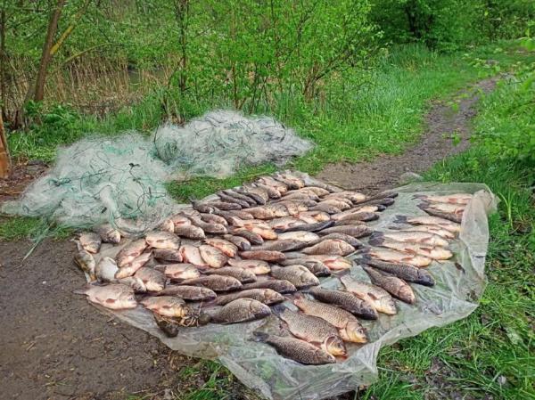 На Вінниччині браконьєр виловив риби на 174 тис грн