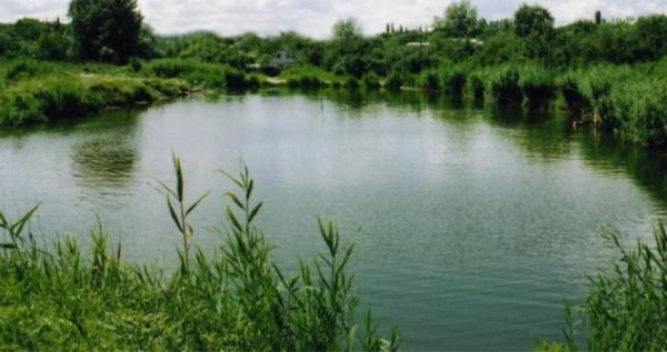 На Вінниччині суд зобов’язав підприємця повернути землі водного фонду вартістю 4,4 млрд грн