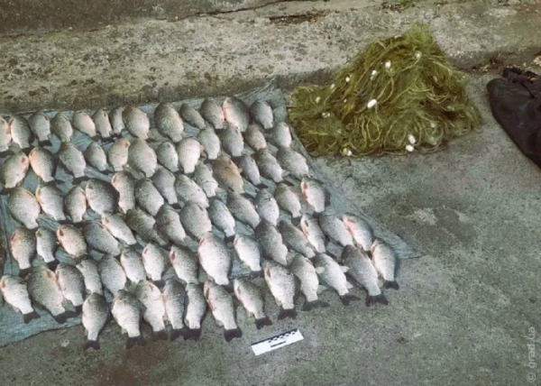 На озері Сасик впіймали любителя незаконної риболовлі