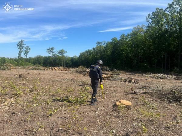 У лісі Жмеринської громади люди виявили артилерійський снаряд