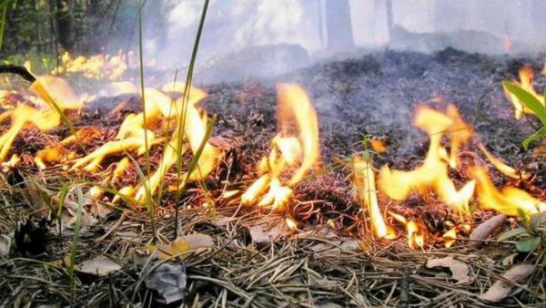 У Вінницькій області попереджають про високу пожежну небезпеку