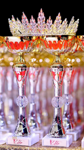 Вінницький «Elite Cup» зібрав 480 гімнасток із різних регіонів