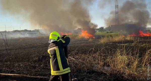 Степові пожежі в Одеській області: вогонь уже знищив понад 11 000 м²
