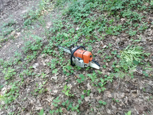 Екологи затримали чоловіка, який вирубував лісосмугу і продавав деревину у Гайсинському районі Екологи затримали чоловіка, який вирубував лісосмугу і продавав деревину у Гайсинському районі