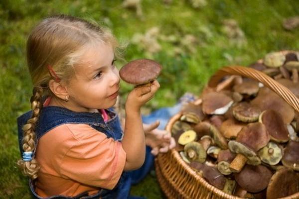 На Вінниччині стартує «тихе полювання»: чи можна їсти гриби дітям та як діяти в разі отруєння
