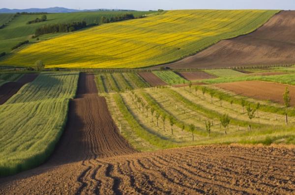 У власність двох громад Вінниччини з приватного користування відсудили дві земельні ділянки