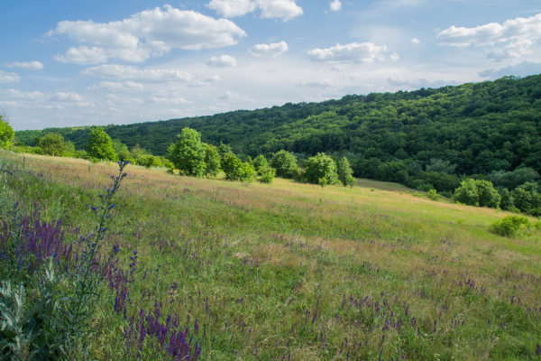 Гайдамацький Яр: унікальне місце сили, історії та таємниць Вінниччини