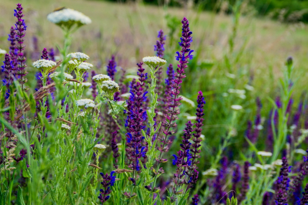 Гайдамацький Яр: унікальне місце сили, історії та таємниць Вінниччини