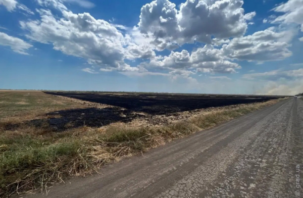 За підпал двох земельних ділянок чоловіку загрожує позбавлення волі