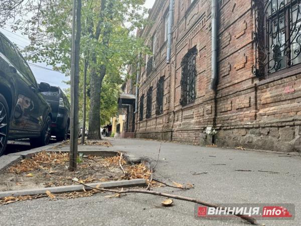 У Вінниці вітер повалив дерево на 6-річну дитину, в області вирує негода У Вінниці вітер повалив дерево на 6-річну дитину, в області вирує негода