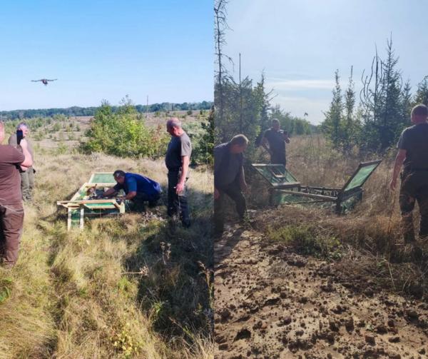 У ліси Вінниччини випустили понад двісті фазанів