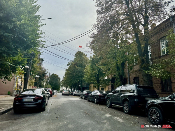 У Вінниці вітер повалив дерево на 6-річну дитину, в області вирує негода У Вінниці вітер повалив дерево на 6-річну дитину, в області вирує негода