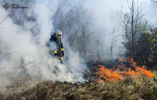 21 пожежу ліквідували рятувальники за добу на Вінниччині