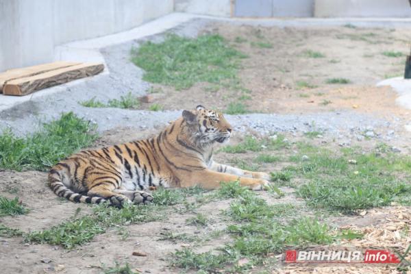 Вінницький зоопарк запрошує на гарбузові вихідні: вхід для дітей безкоштовний