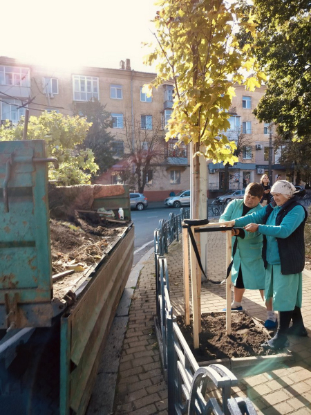 На вулицях Вінниці висаджують липи, клени, сакури, вербу й платани