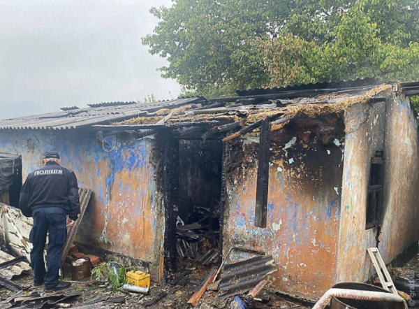 Трагедія під Одесою: у вогні загинули двоє дітей