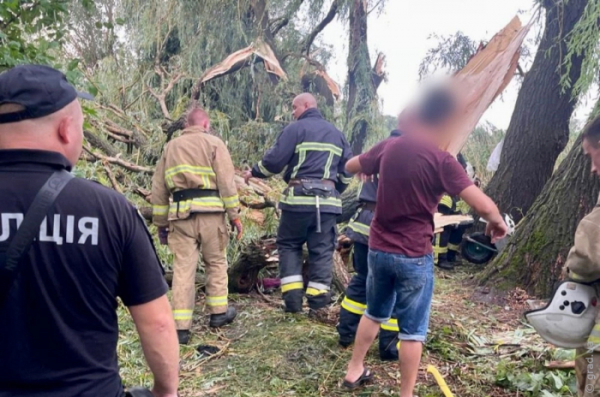 Нещасний випадок на відпочинку: у Балті дерево впало на підлітків 