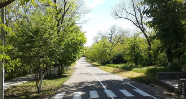 В Одесі на Трасі Здоров'я чоловік застрелив собаку