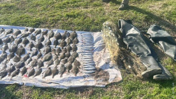 Незаконно ловили рибу у нацпарку «Тузловські лимани»: рибалкам загрожує обмеження свободи