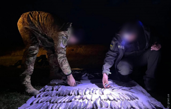 Браконьєрський улов на мільйони: у «Тузловських лиманах» викрили порушника