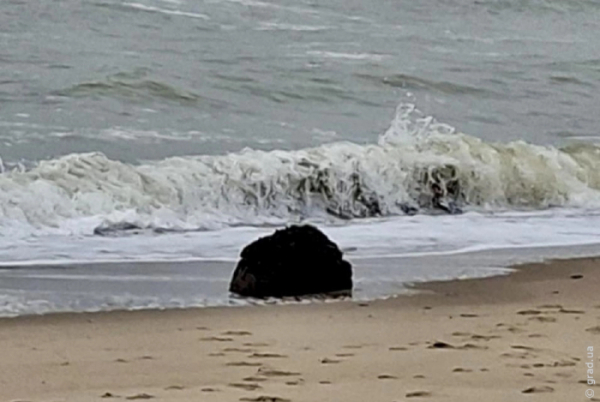 Небезпечну знахідку на одеському узбережжі виявив місцевий житель Небезпечну знахідку на одеському узбережжі виявив місцевий житель