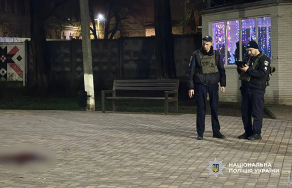 18-річний син смертельно поранив матір під час конфлікту у парку