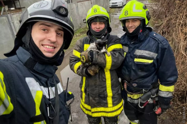 Одеські рятувальники винесли із задимленого приміщення кота