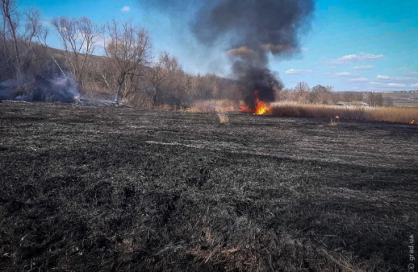 Жителів Одеської області оштрафували за спалювання сухої рослинності Жителів Одеської області оштрафували за спалювання сухої рослинності