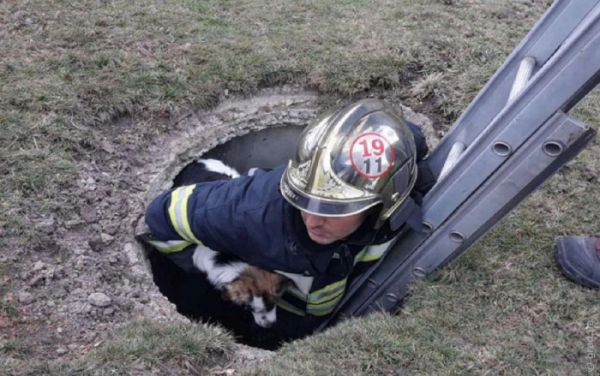 У Березівському районі співробітники ДСНС врятували собаку