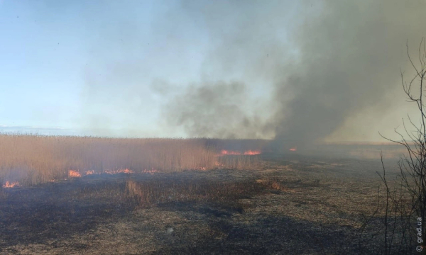Масштабну пожежу очерету під Рені гасили всю ніч