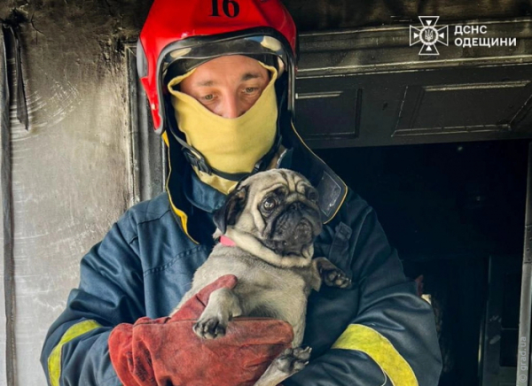У Білгород-Дністровському районі із задимленого будинку врятували собаку