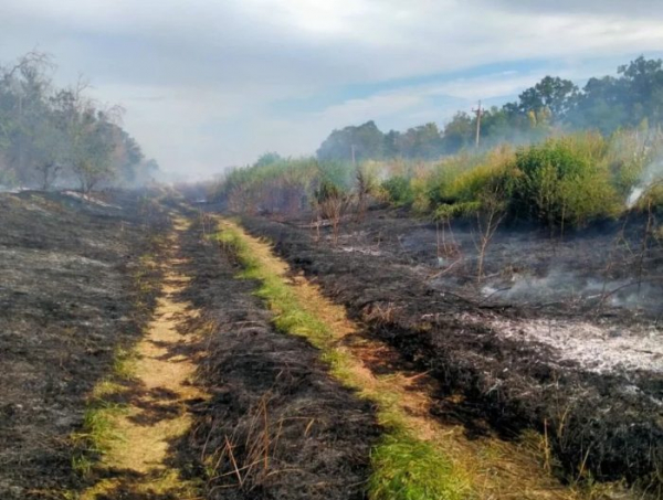 Рятувальники 28 разів виїжджали на гасіння сухої рослинності в Одеській області